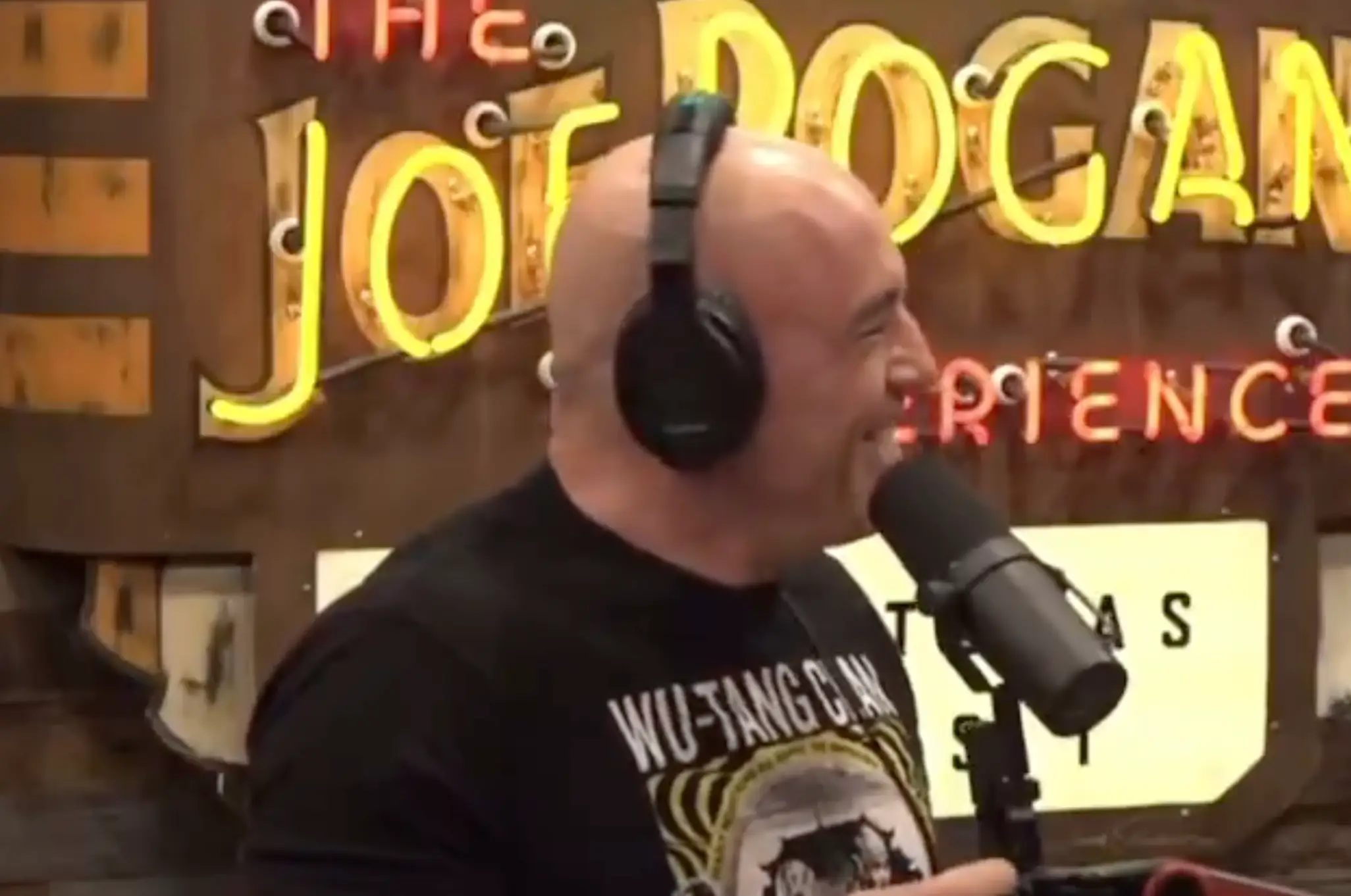 Rogan laughed after making the inflammatory statement (The Joe Rogan Experience)