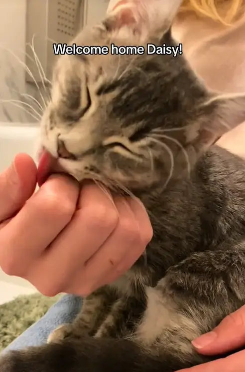 Daisy is the 'perfect addition'.