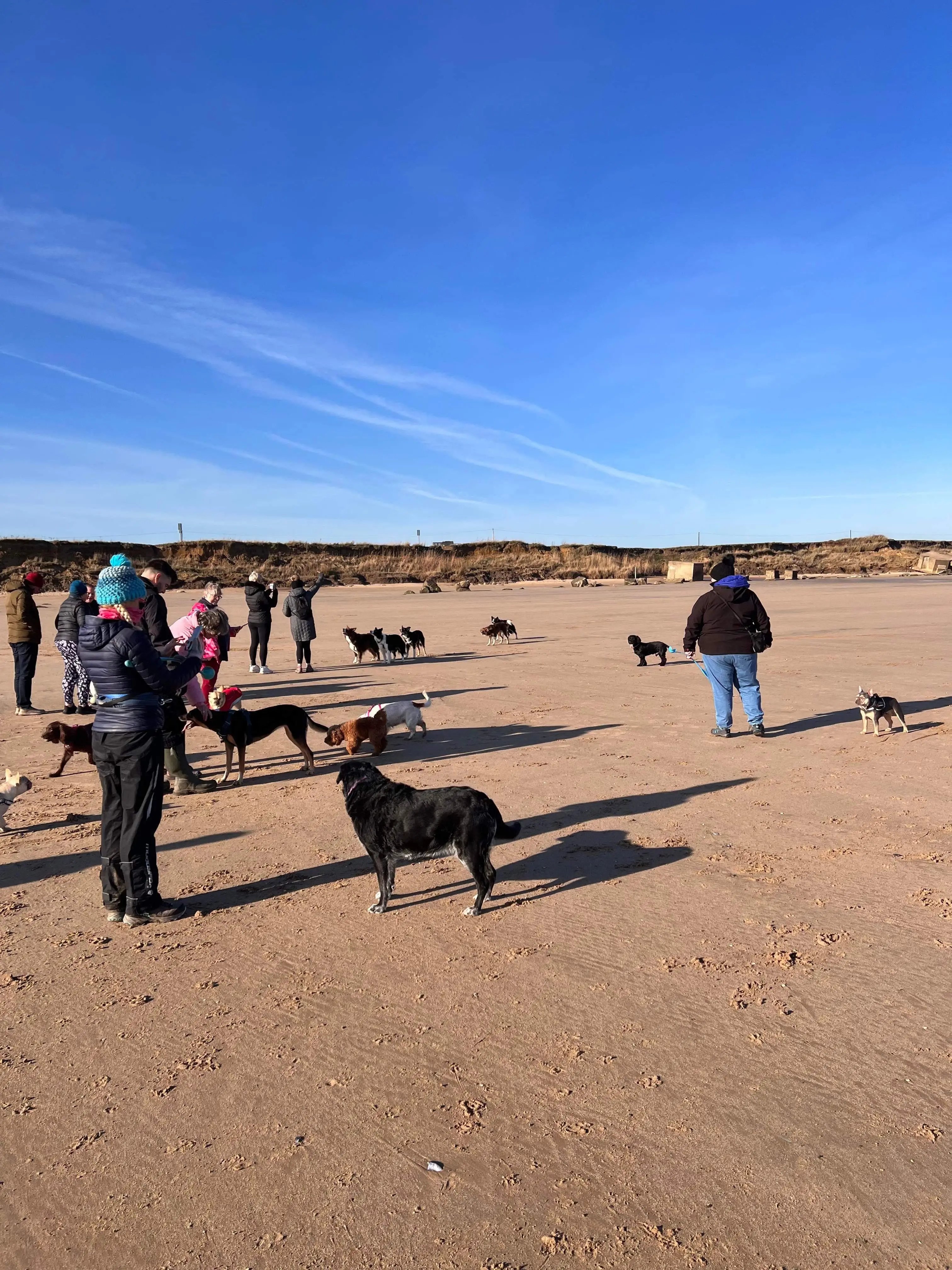 The turnout was incredible.