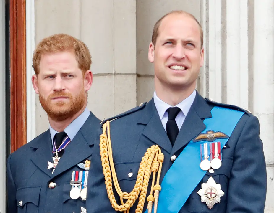 Royal fans have accused Prince Harry of 'stealing' his brother's title (Max Mumby/Indigo/Getty Images)