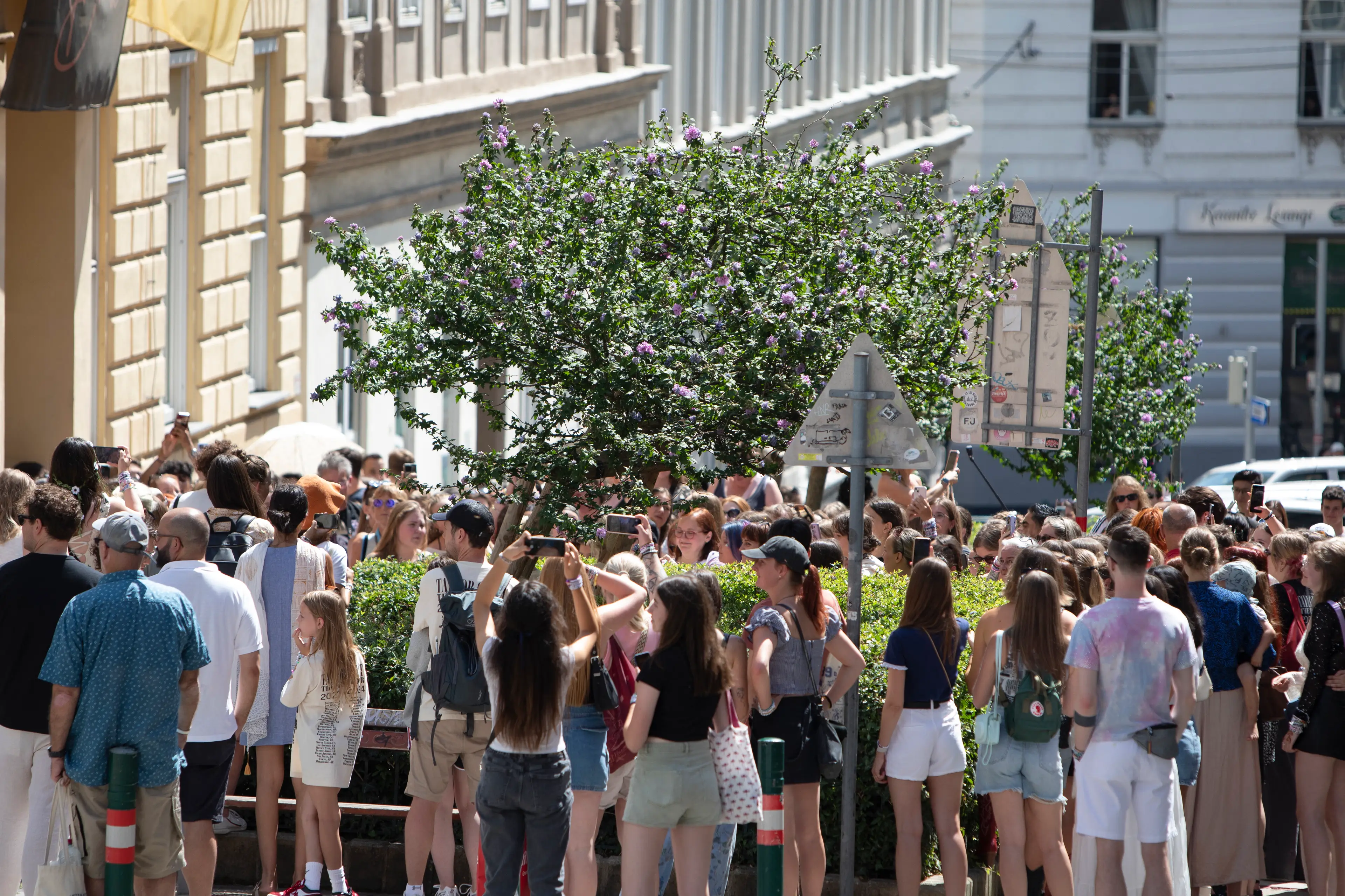 Fans in Vienna were heartbroken by news of the cancellation. (ALEX HALADA/AFP via Getty Images)