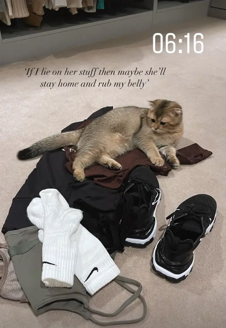 Molly-Mae has got a cat (