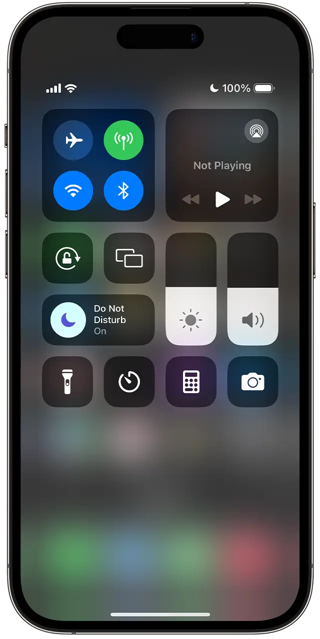 Turning on the feature takes just a second. (Apple)