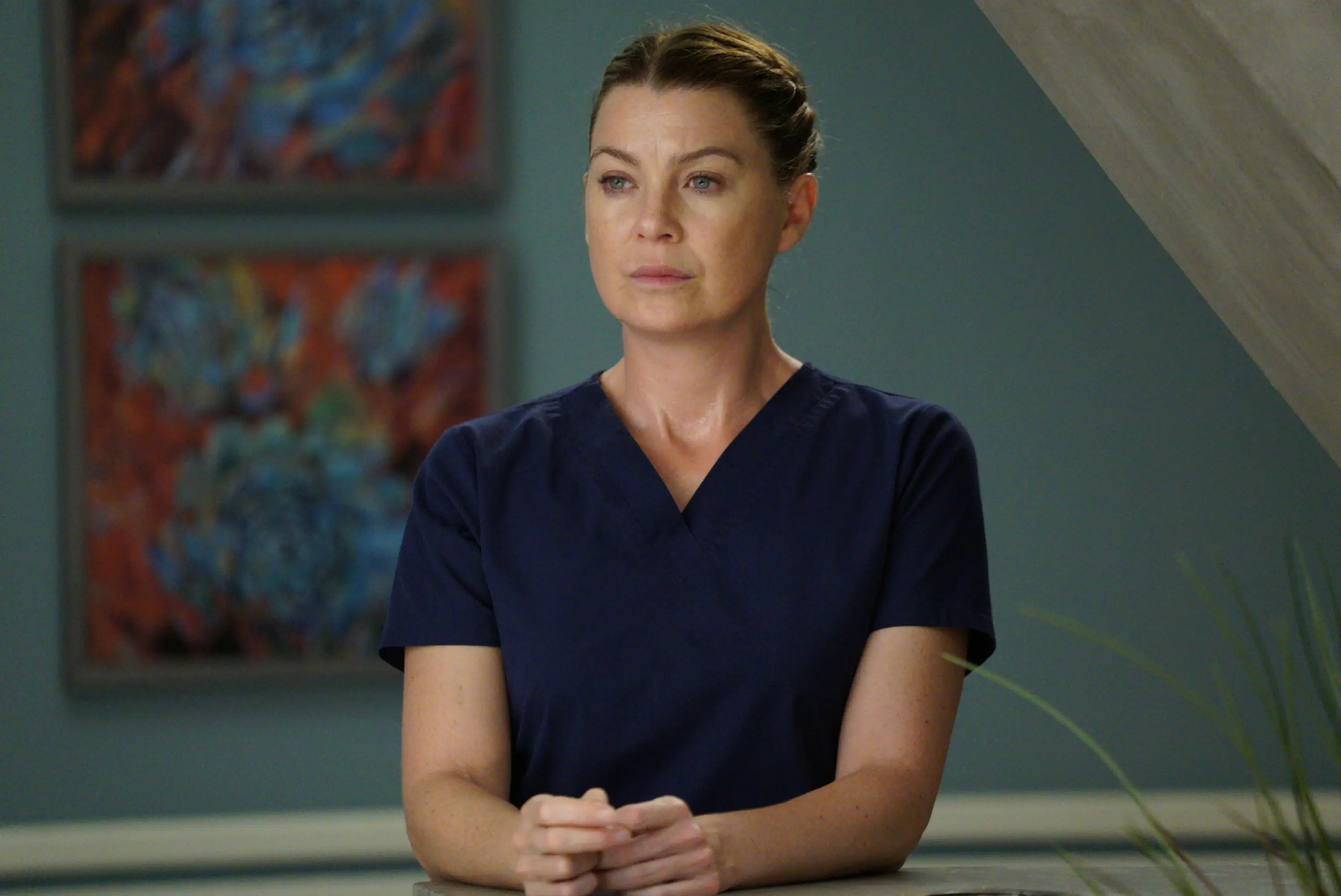Ellen Pompeo brings home a whopping $20 million a year for her Grey's Anatomy role (Richard Cartwright via Getty Images)