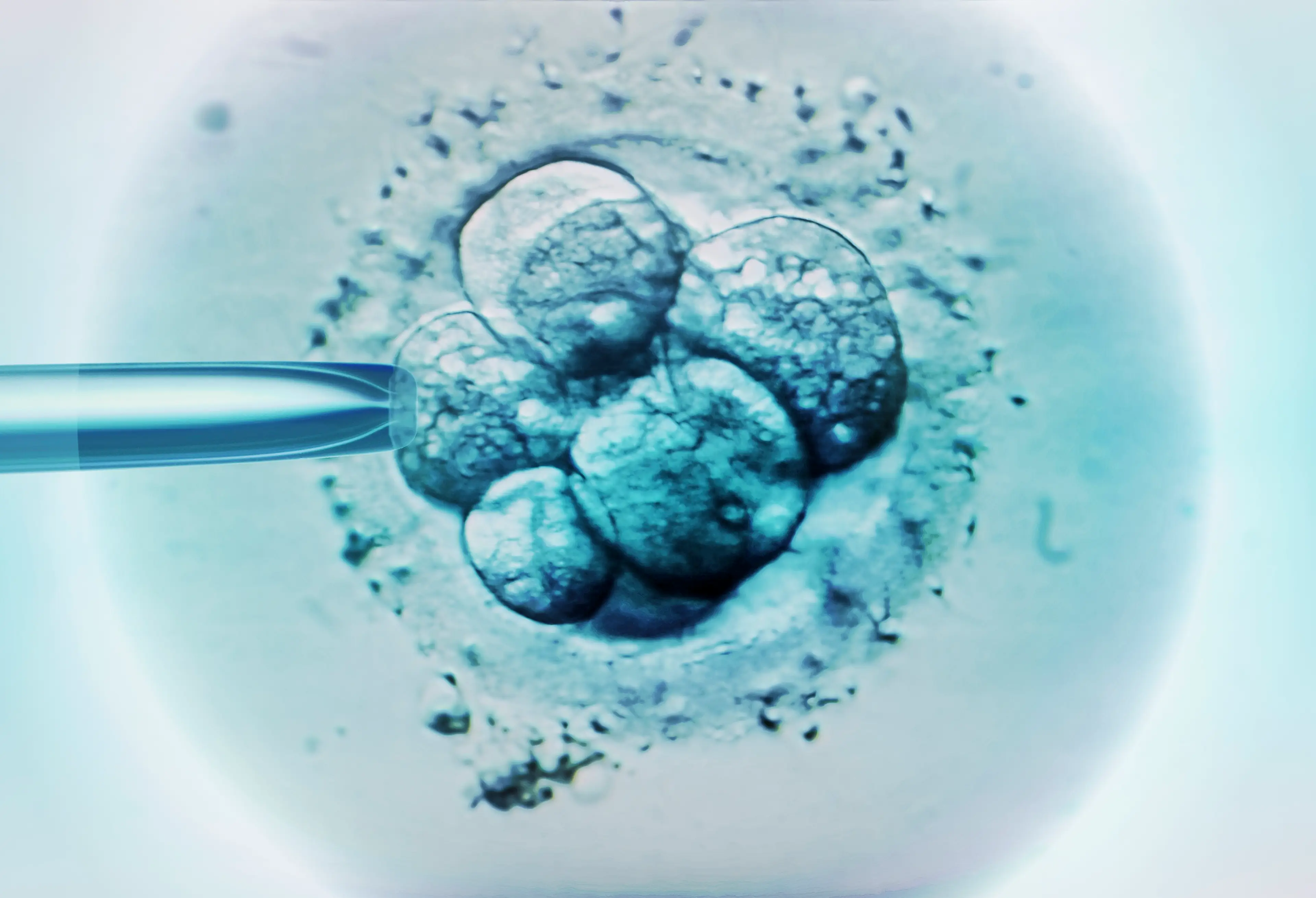 Many are questioning the ethics of storing frozen embryos for a long time (Getty Stock Images)