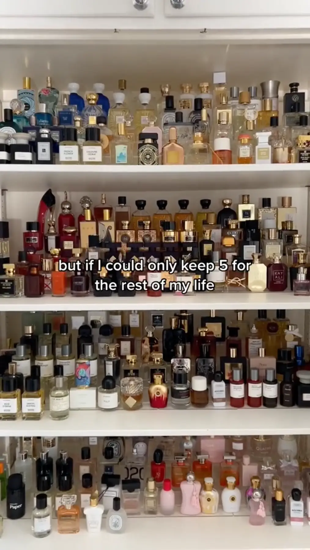 The immaculate perfume collection.