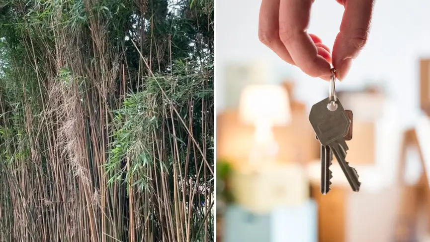 Environet/Westend61/Getty Images