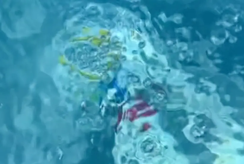 Some colours are easier to see underwater.