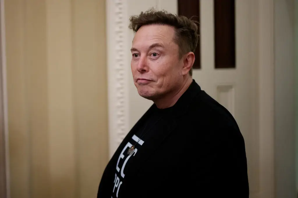 Elon Musk spearheads the Department of Government Efficiency (DOGE) (Andrew Harnik / Staff / Getty Images)
