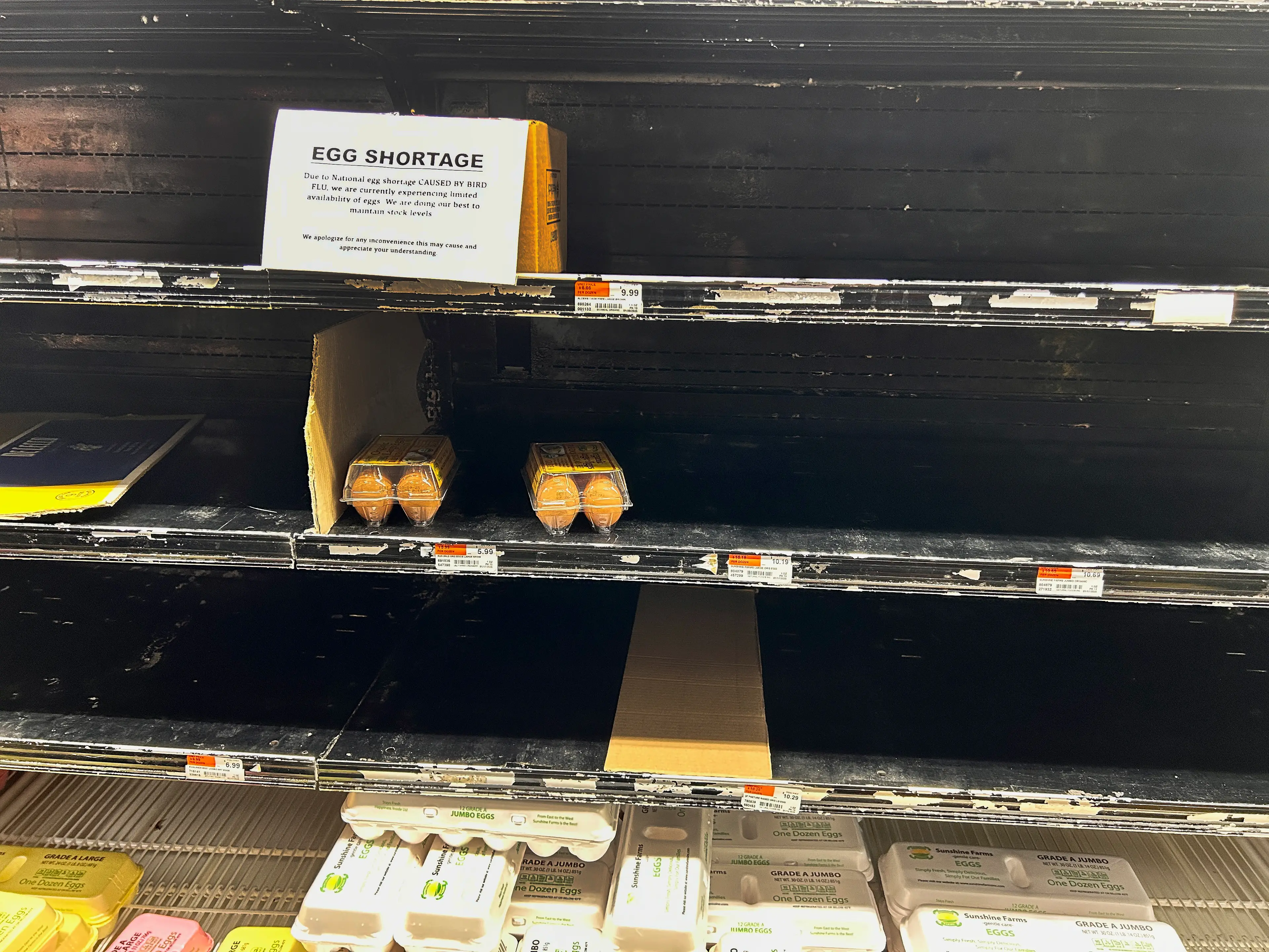 The current outbreak has been causing widespread disruption (Lindsey Nicholson/UCG/Universal Images Group via Getty Images)