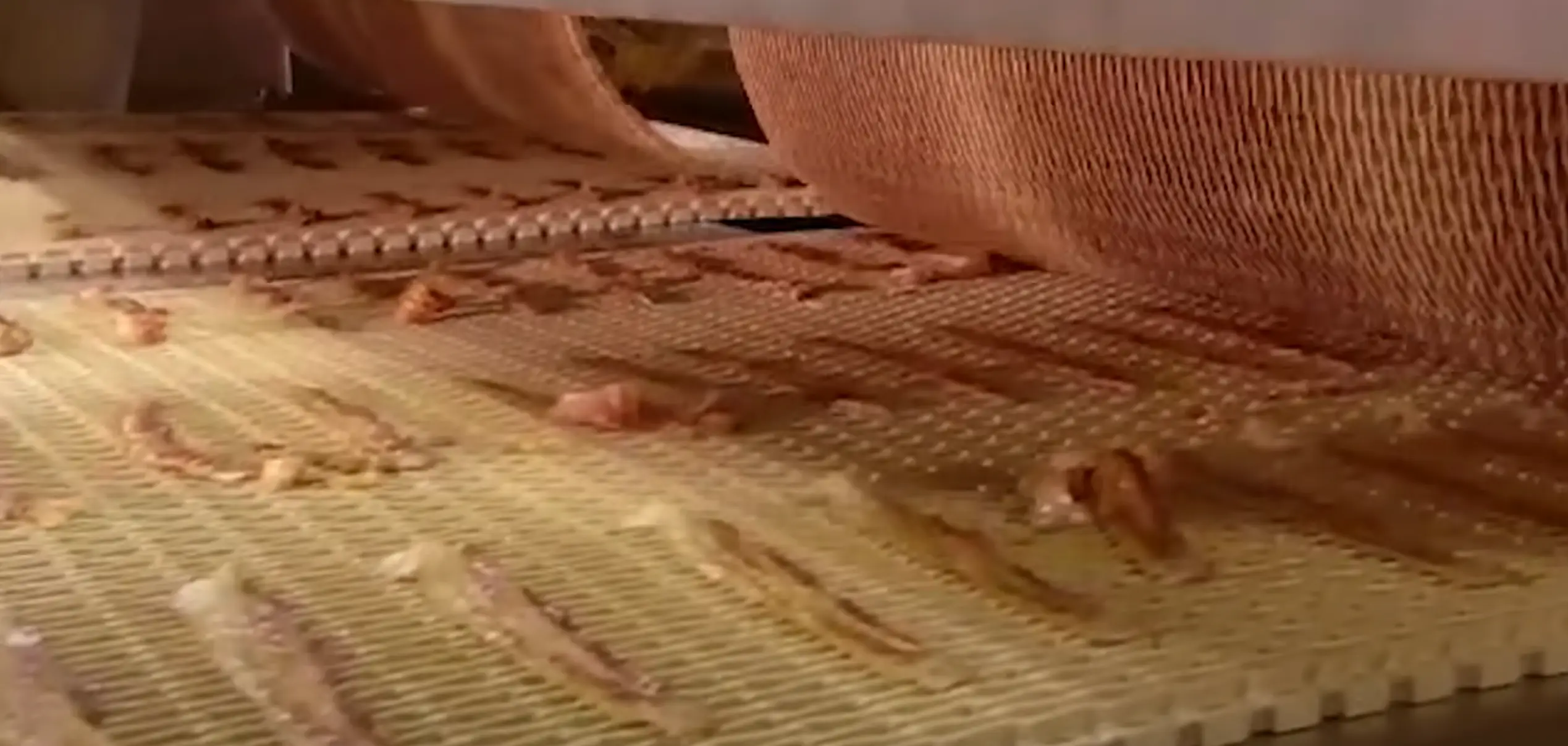 Viewers declared they were 'going vegan' after watching the 'disgusting' clip (Discovery)