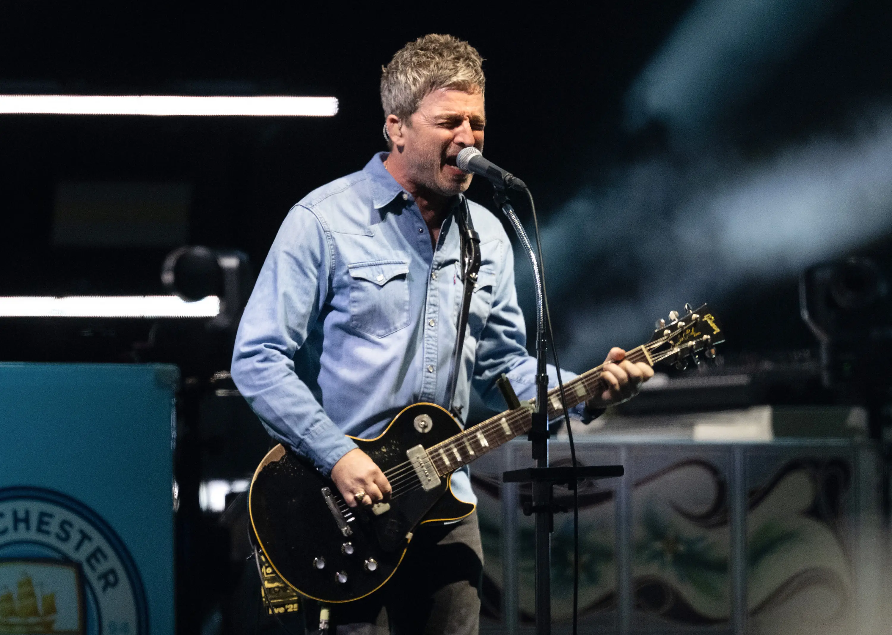 The Gallagher brothers have put their differences to one side (Photo by Samir Hussein/WireImage)