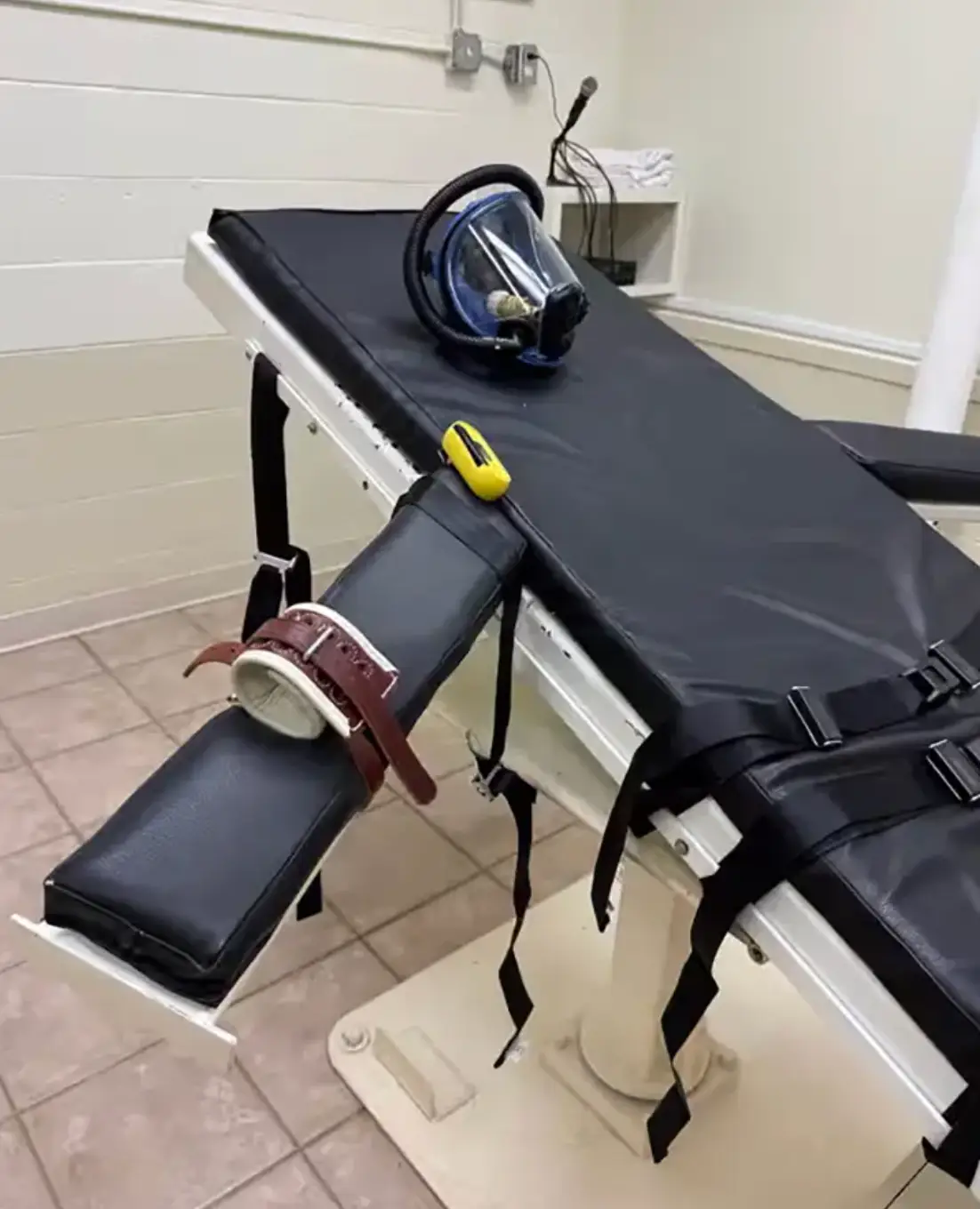 The method is banned for euthanising animals in Louisiana (Louisiana State Court)