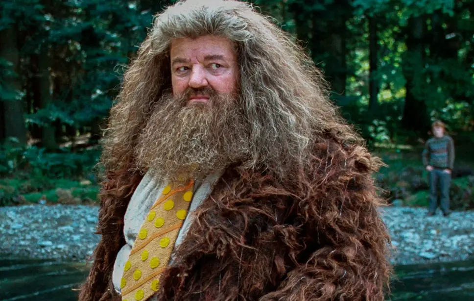 Robbie Coltrane played the beloved Hagrid (Warner Bros.)