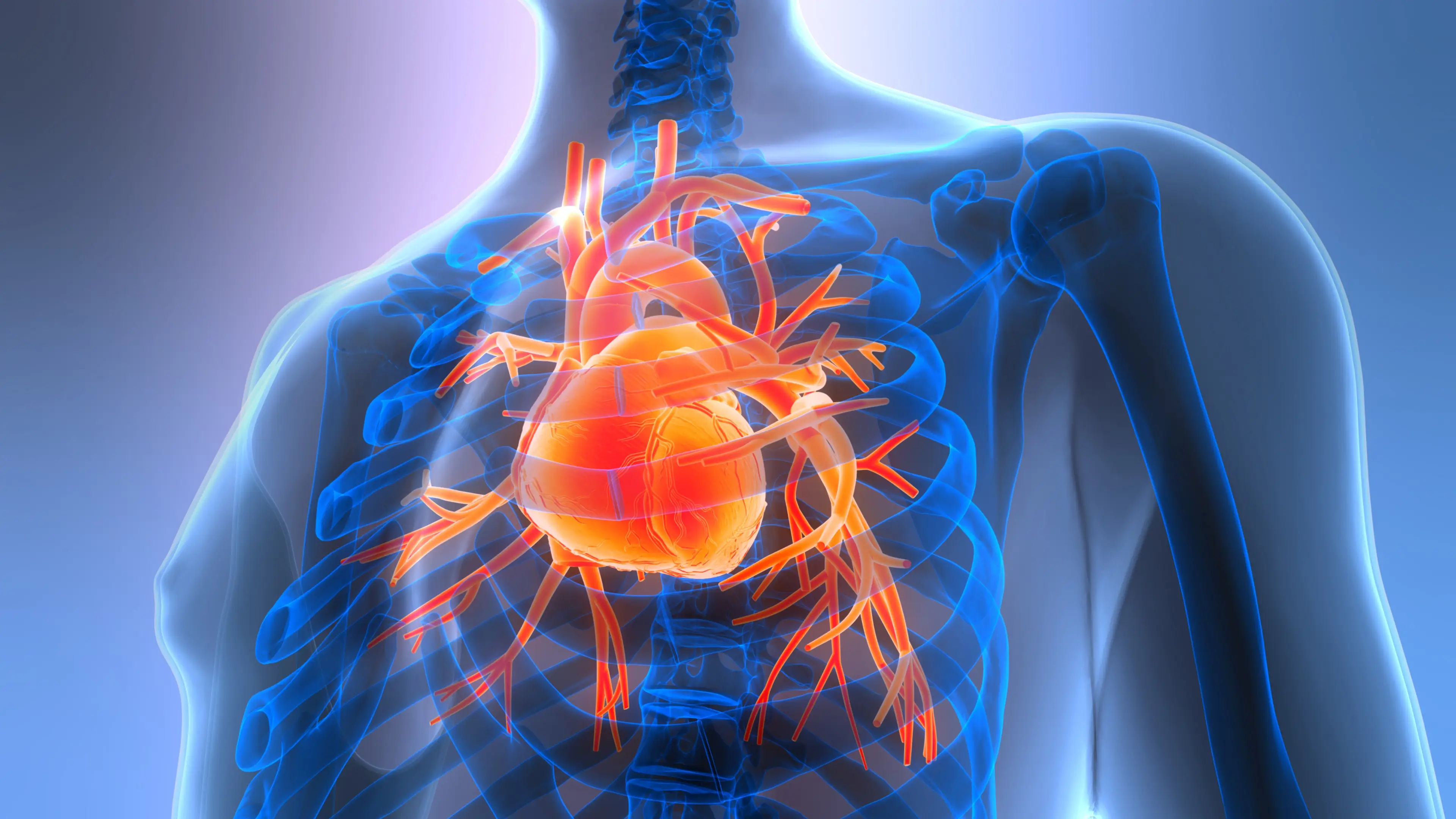 Scientists link common eating habit to damage in every major human organ