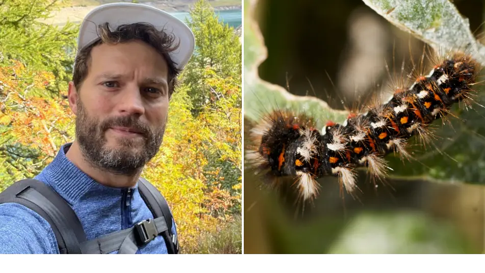 Jamie Dornan/Instagram/Aireimages/Getty images