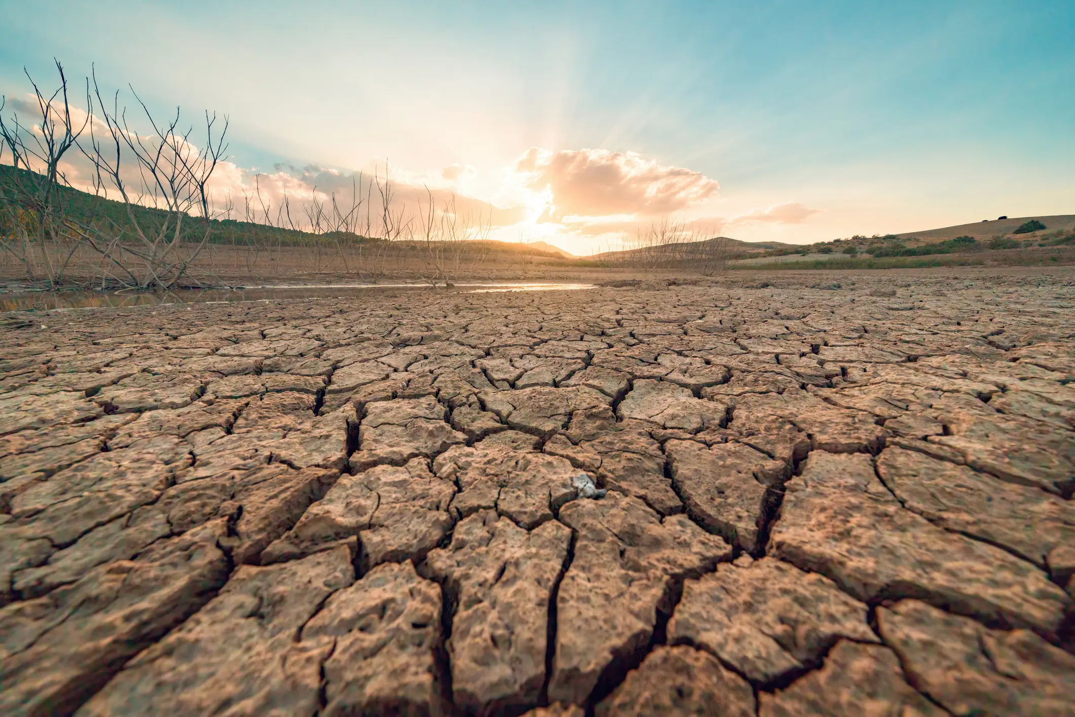 The knock-on effects of soaring temperatures range from drought to wildfires (Getty Stock Image)