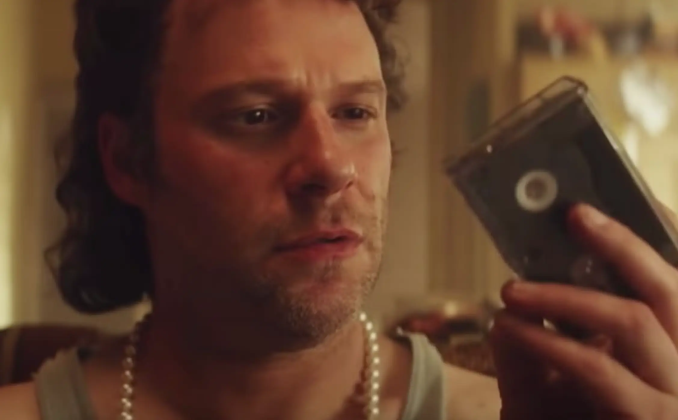 Rogen starred as Rand Gauthier, the infamous thief who stole the sex tape (Hulu)