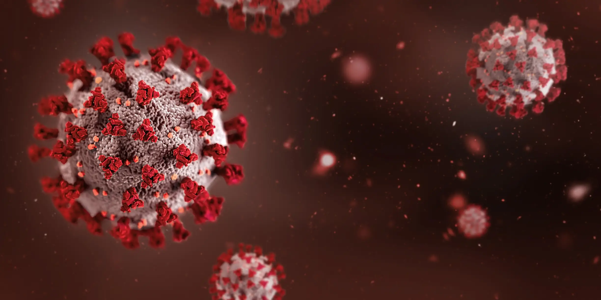 Norovirus can spread quickly in closed environments like cruise ships (Olga Siletskaya/Getty Images)