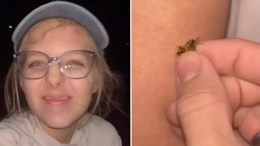 Instagram/@bartons_bees