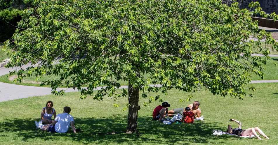 We're in for another lovely spot of hot weather.