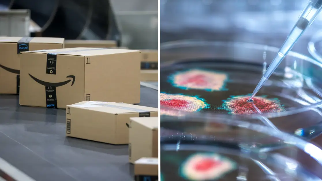 Michael Nagle/Bloomberg via Getty Images / Getty Stock Images