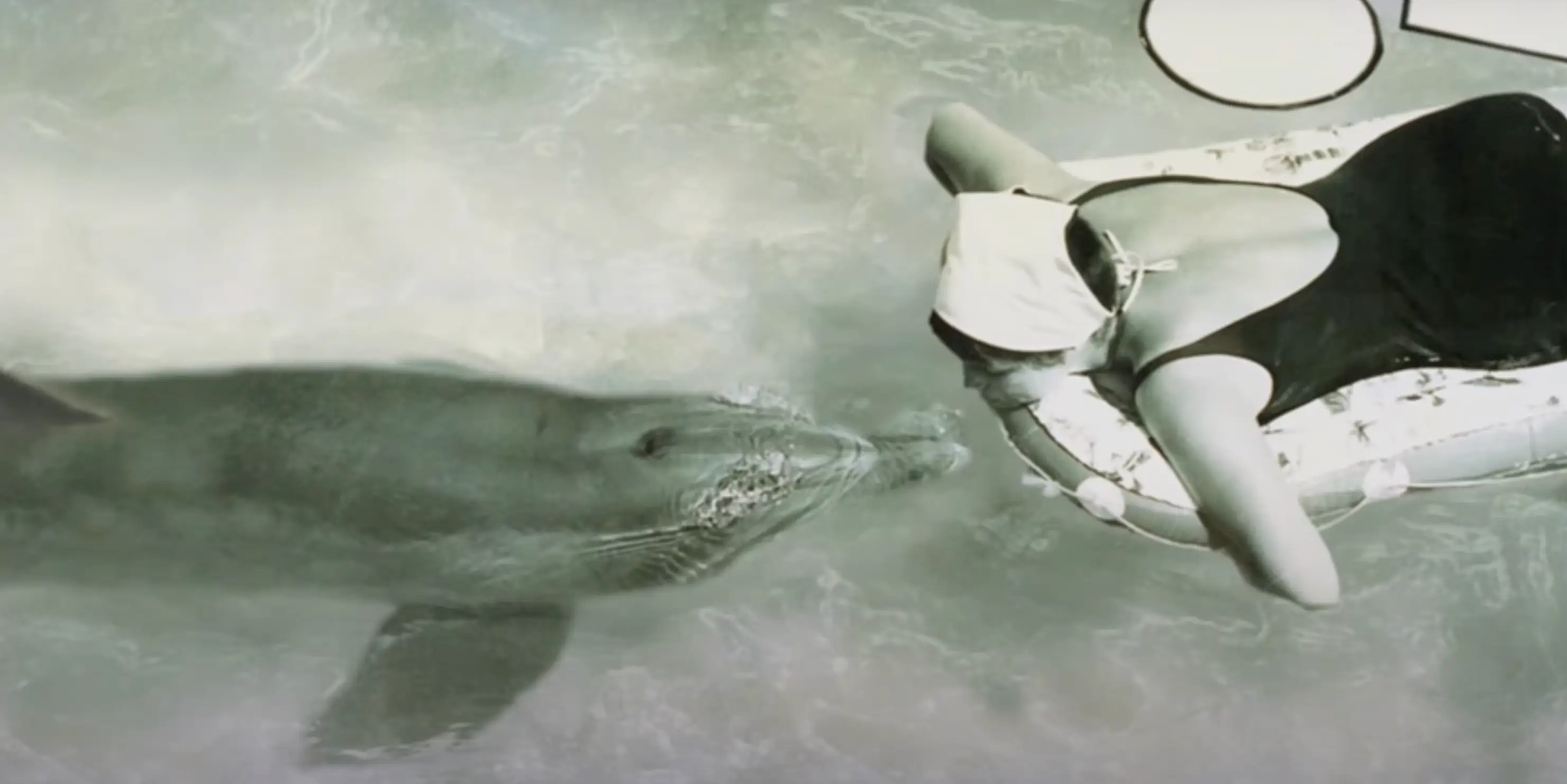 Peter died following the experiment (BBC)