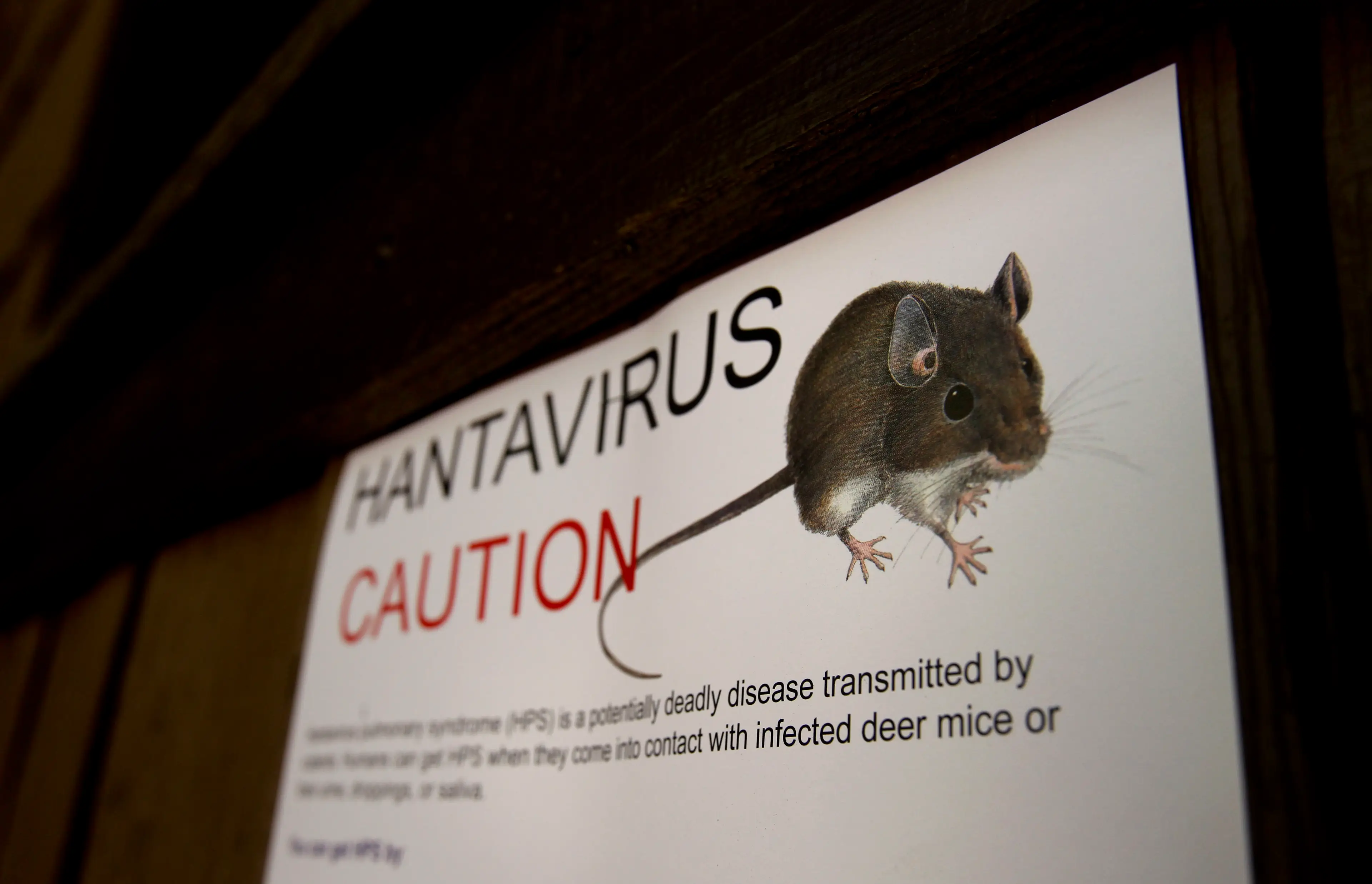Arakawa died of Hantavirus (Michael Macor/San Francisco Chronicle via Getty Images)