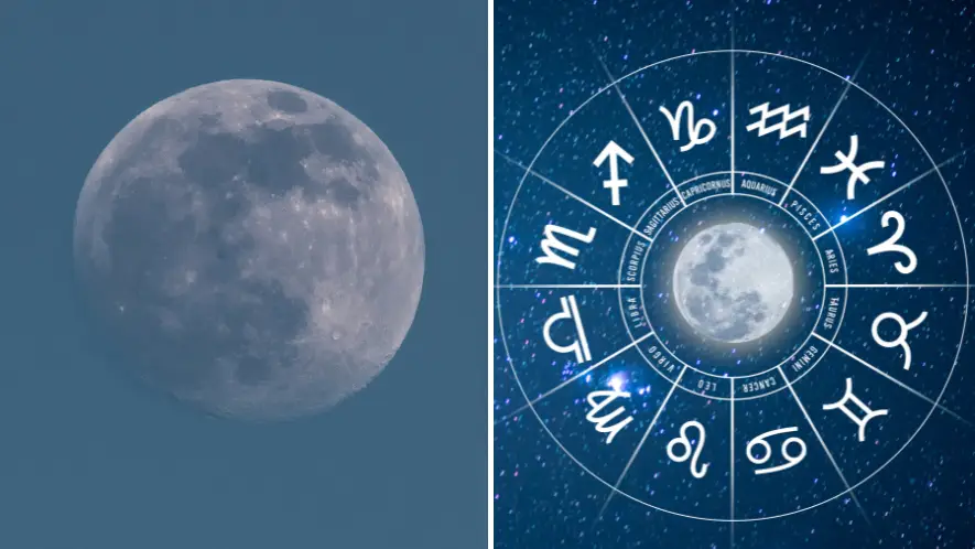 StGrafix/Getty Images/sarayut Thaneerat/Getty Images