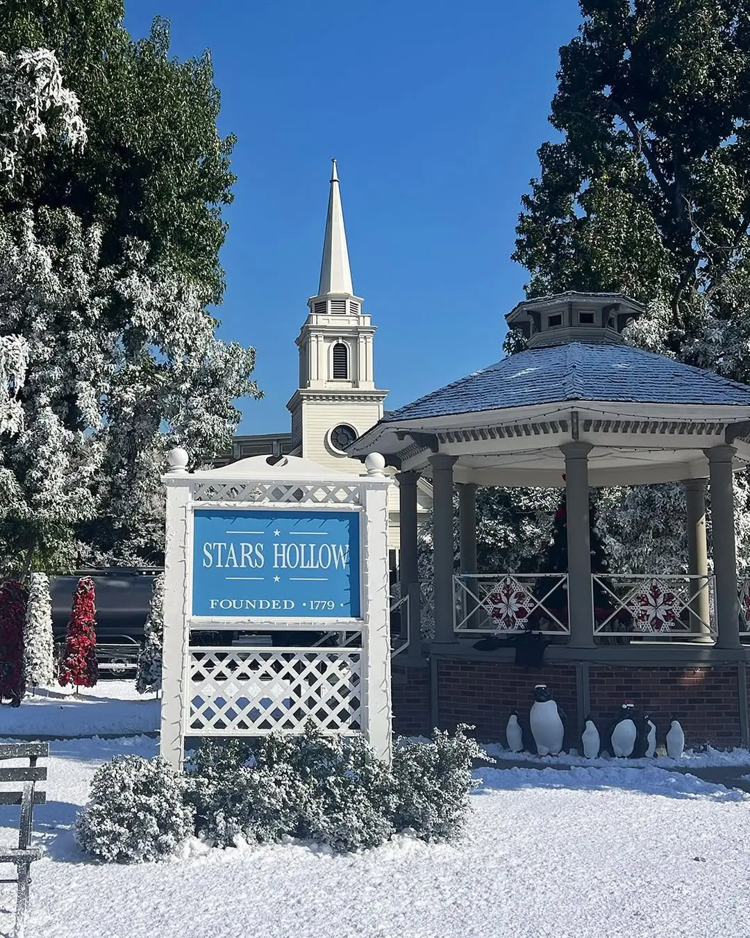 (Instagram/@thejudgegunn)