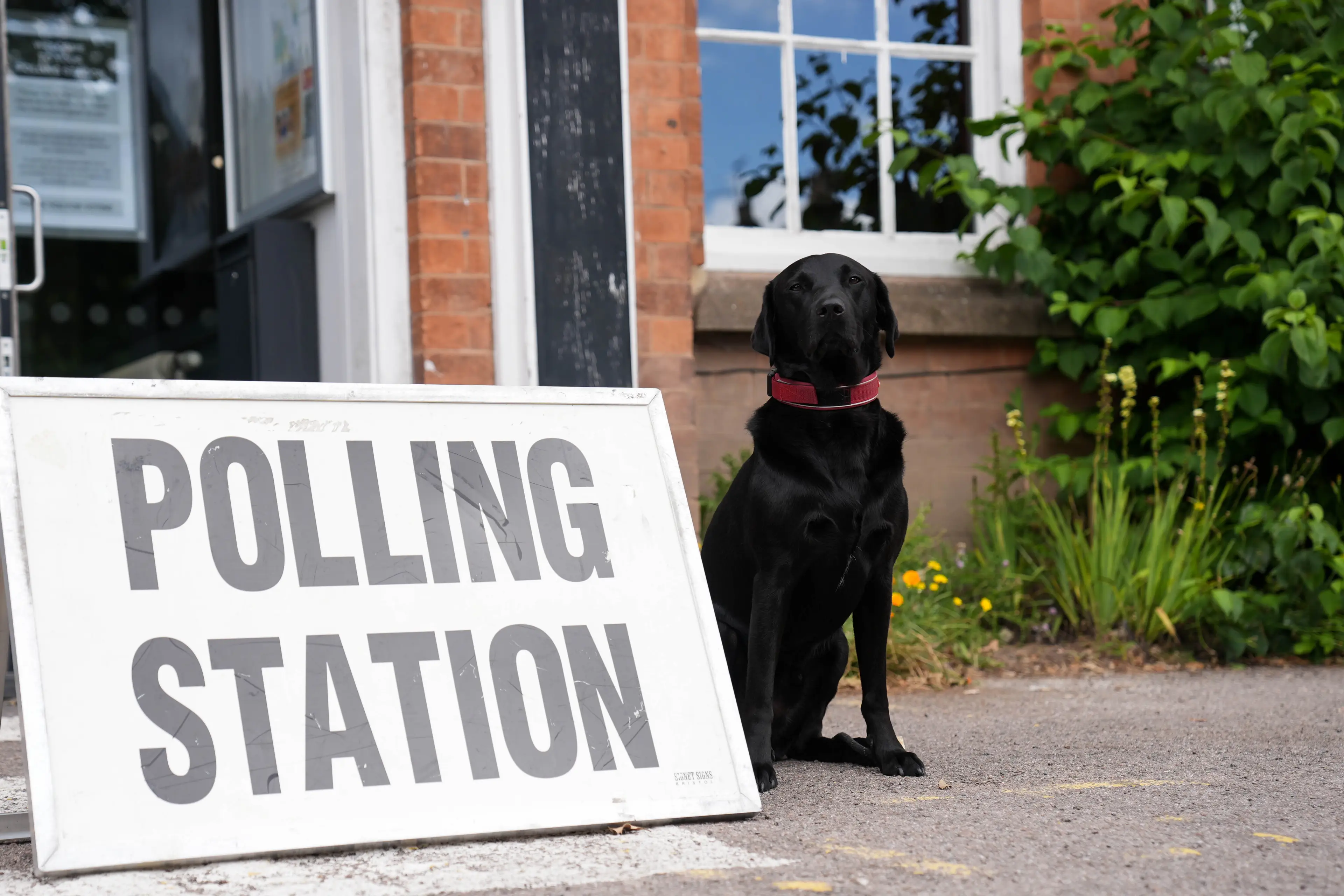 A black Labrador outside a polling station in Warwick. (PA)