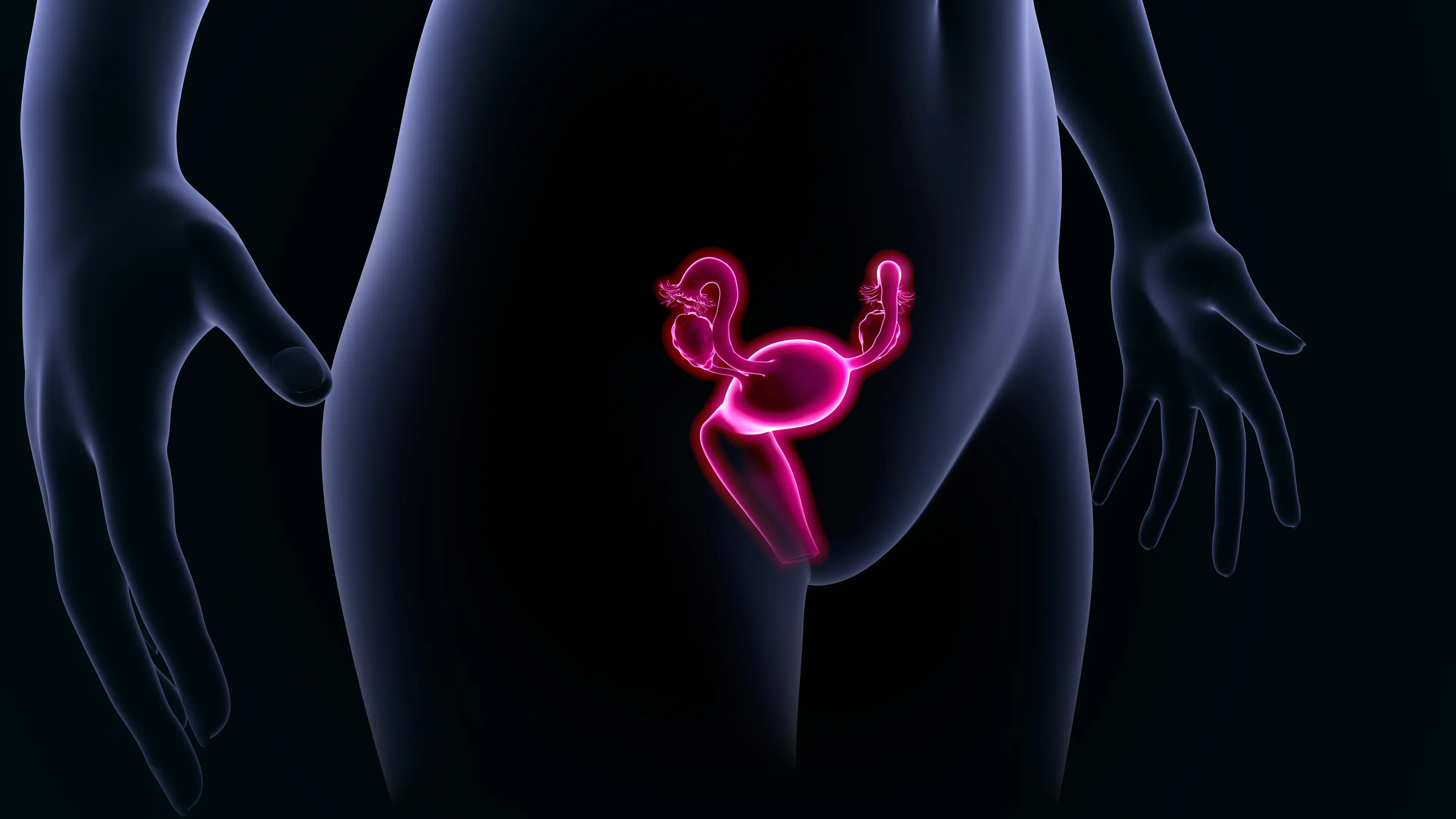 Scientists have discovered a previously hidden role played by immune cells inside the womb (Getty Stock Images)