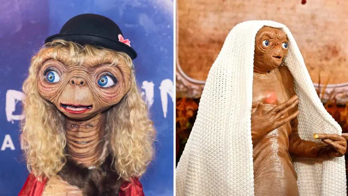 TheStewartofNY/WireImage/Mitch Haddad/WBTV via Getty Images