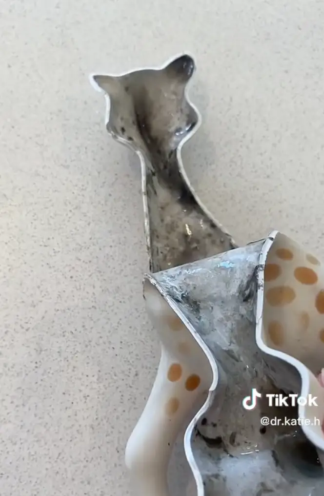 Sophie the giraffe has certainly seen better days.