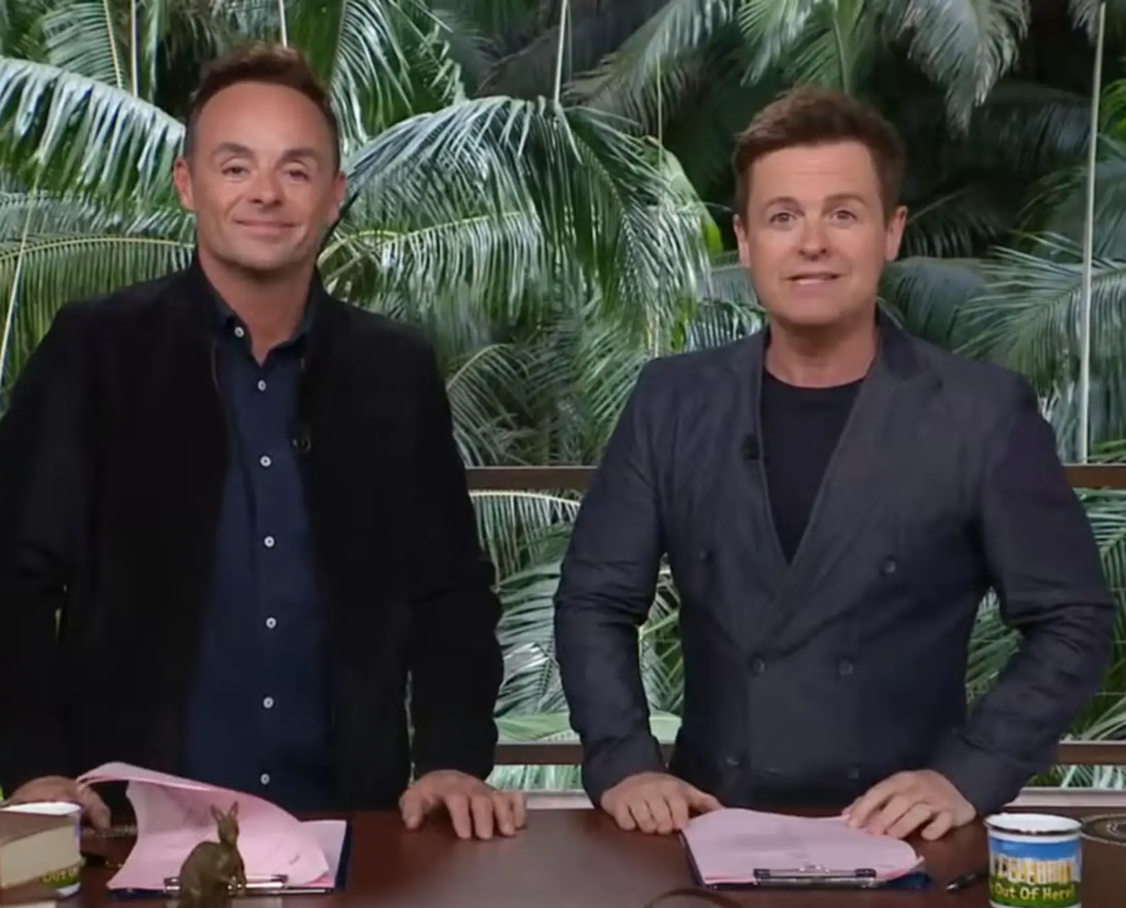 I'm A Celeb viewers were in stitches over Dec's 'burn' (ITV)