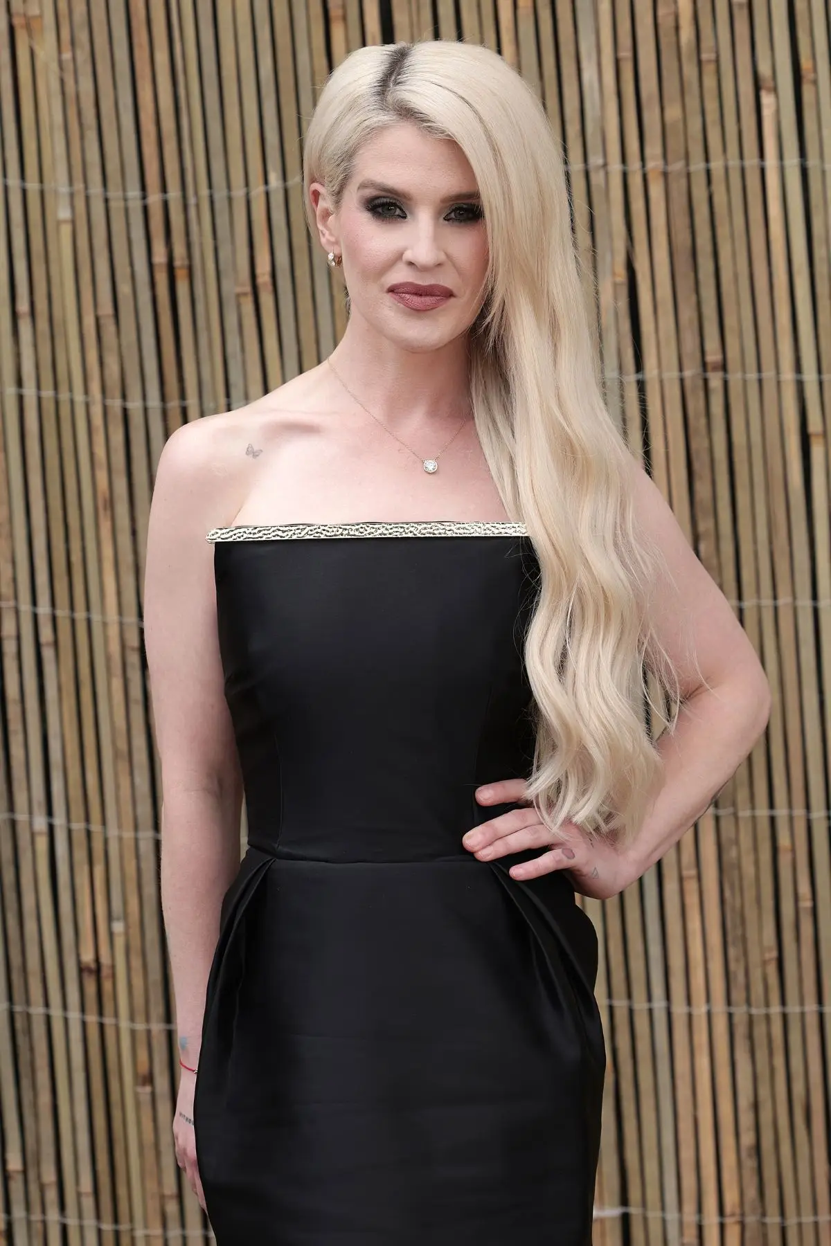 Other celebrities like Kelly Osbourne have detailed their battle with Lyme disease (Ricky Vigil M / Justin E Palmer/GC Images)