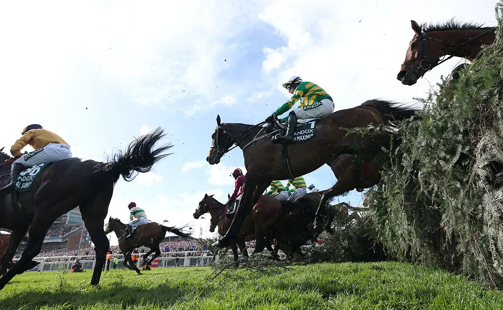 Top of The Bill was examined by a vet after the race (Michael Steele/Getty Images)