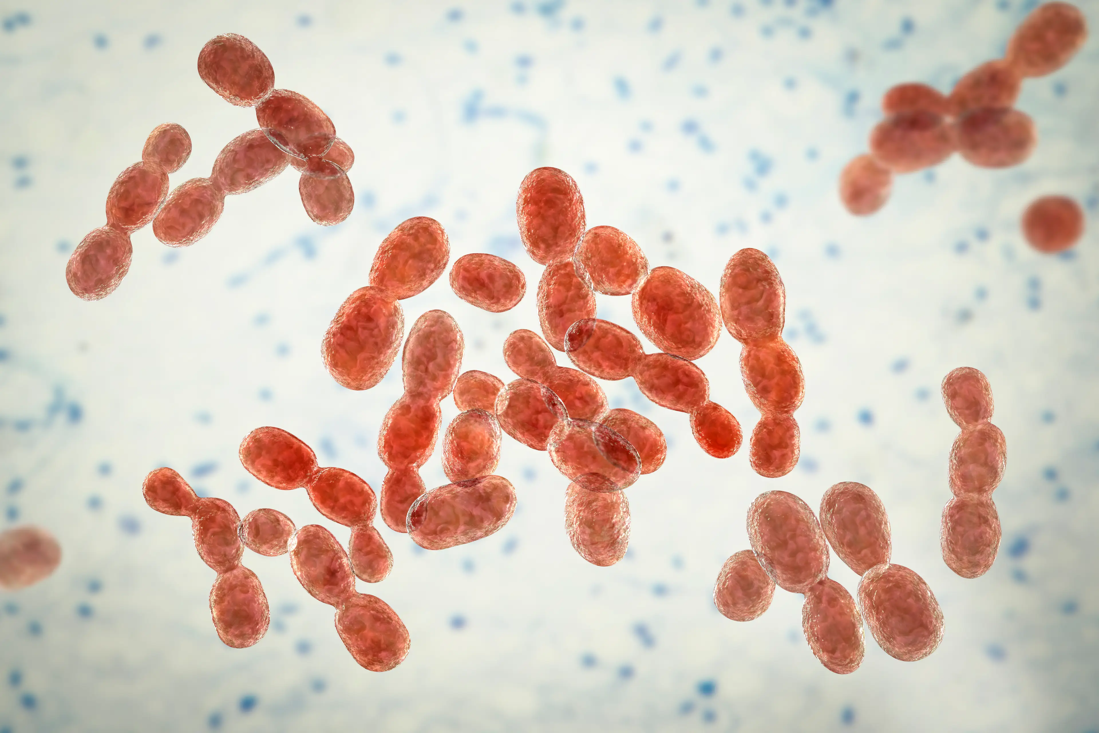 A warning has been issued to students living in the area (Getty Stock Images)