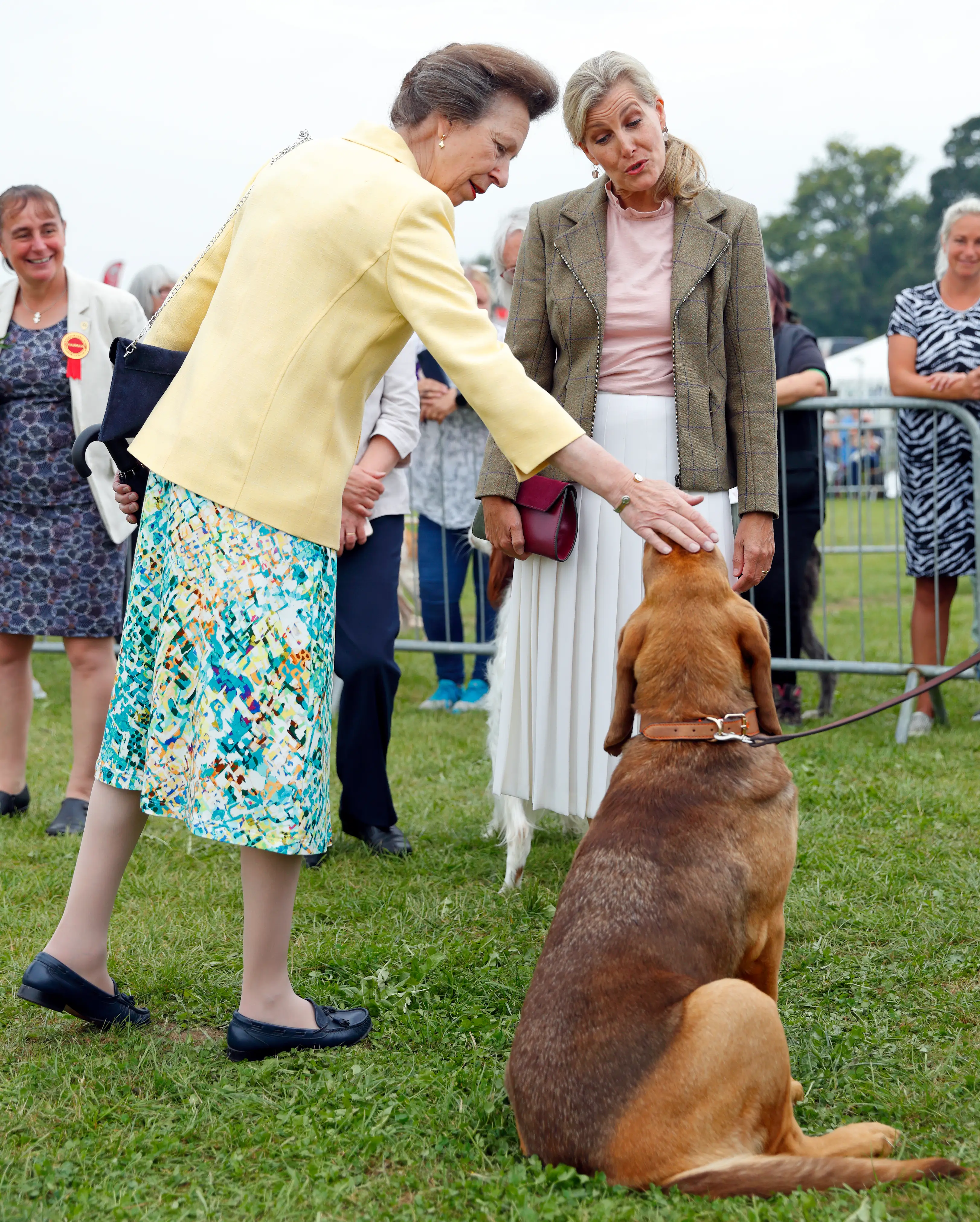 Windsor believes Sophie inhibits a lot of the same qualities as Princess Anne (Max Mumby/Indigo/Getty Images)