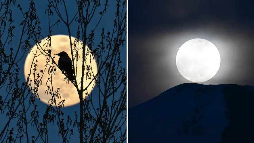 Ozkan Bilgin/Anadolu via Getty Images