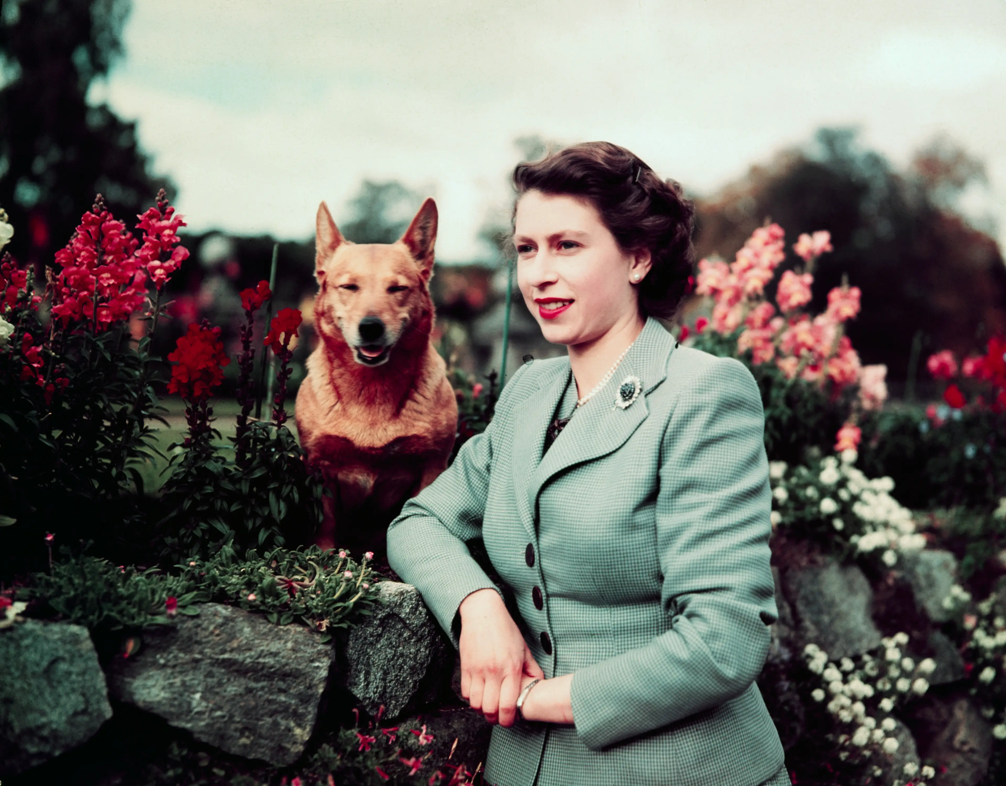 Queen Elizabeth took to the throne in 1952 (Bettmann / Contributor)