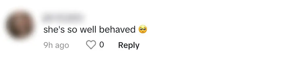 Fans rushed in to praise Stormi's good behaviour during the fashion show.