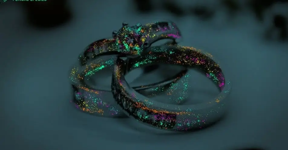 It's essential that you give your jewellery a proper wash to keep the bacteria at bay.(