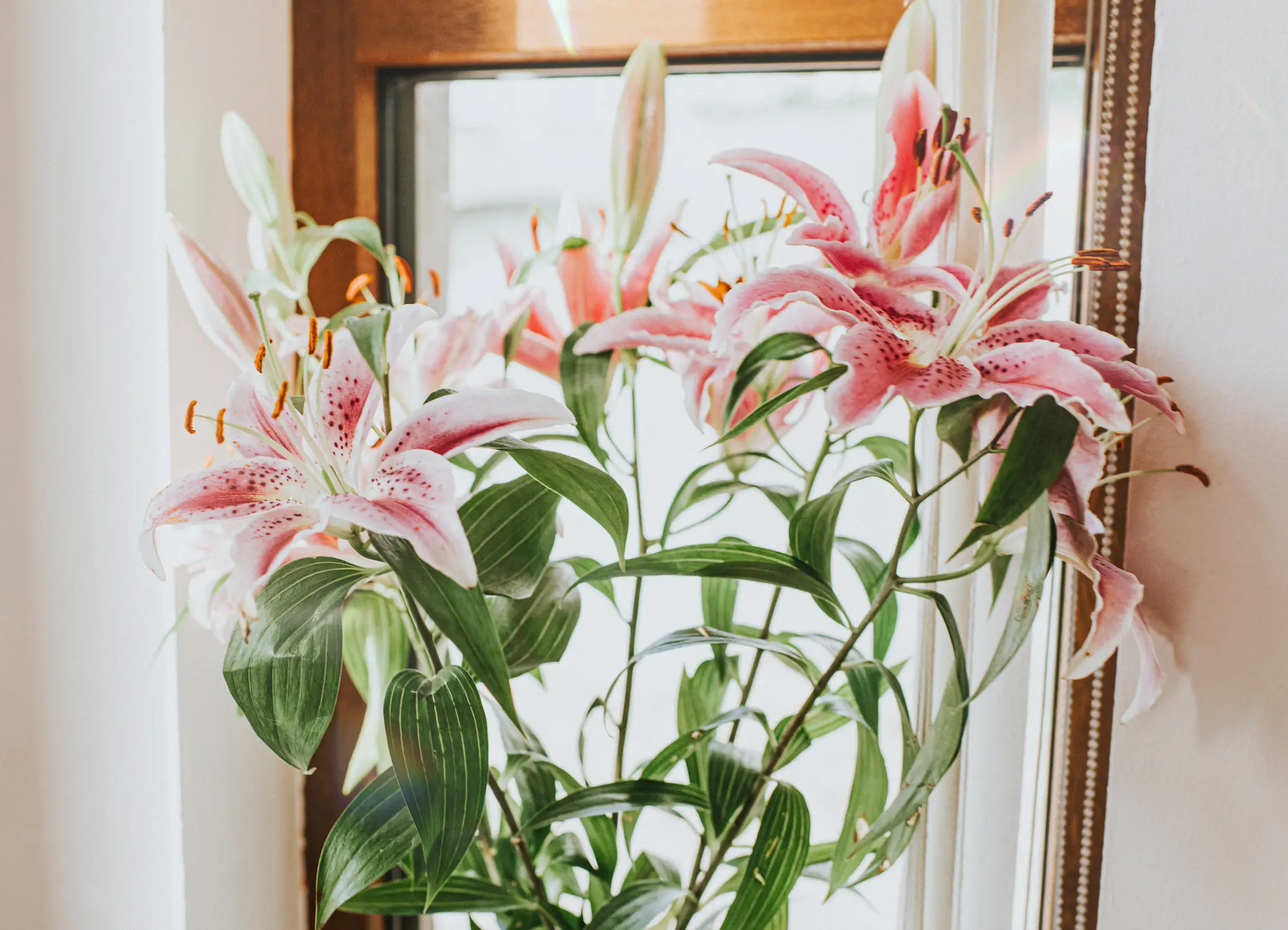 The nurse suffered an allergy to lillies (Getty Stock Image)