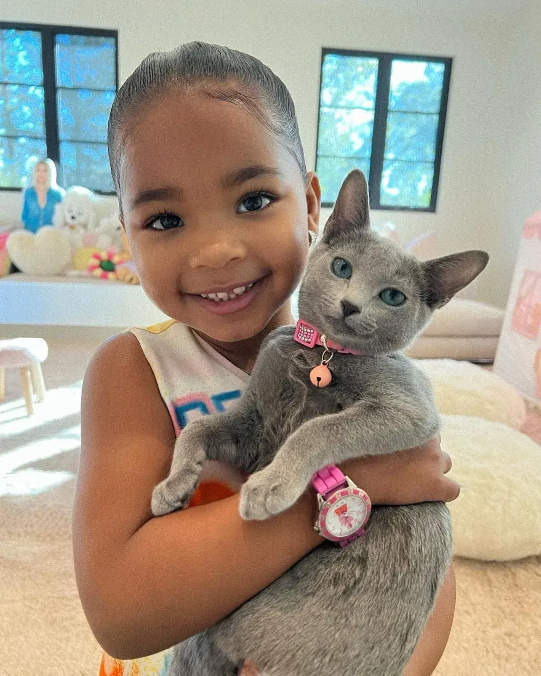 The Kardashian sister has two cats - Gray Kitty and Baby Kitty (Instagram/@khloekardashian)
