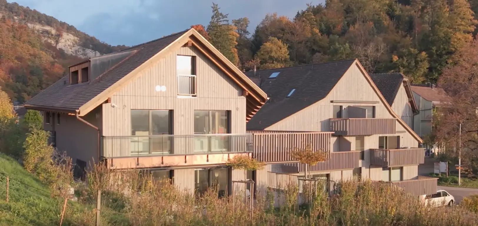 Pegasos has less stringent requirements than Dignitas (Pegasos)