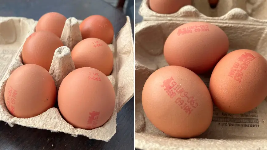'Secret' code that every single egg has stamped on it and what it actually means