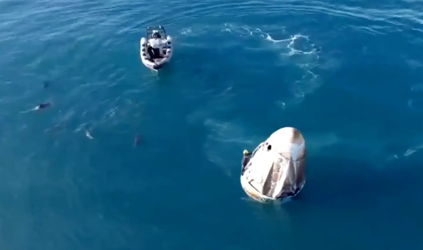 A pod of dolphins could be seen around the capsule (NASA)