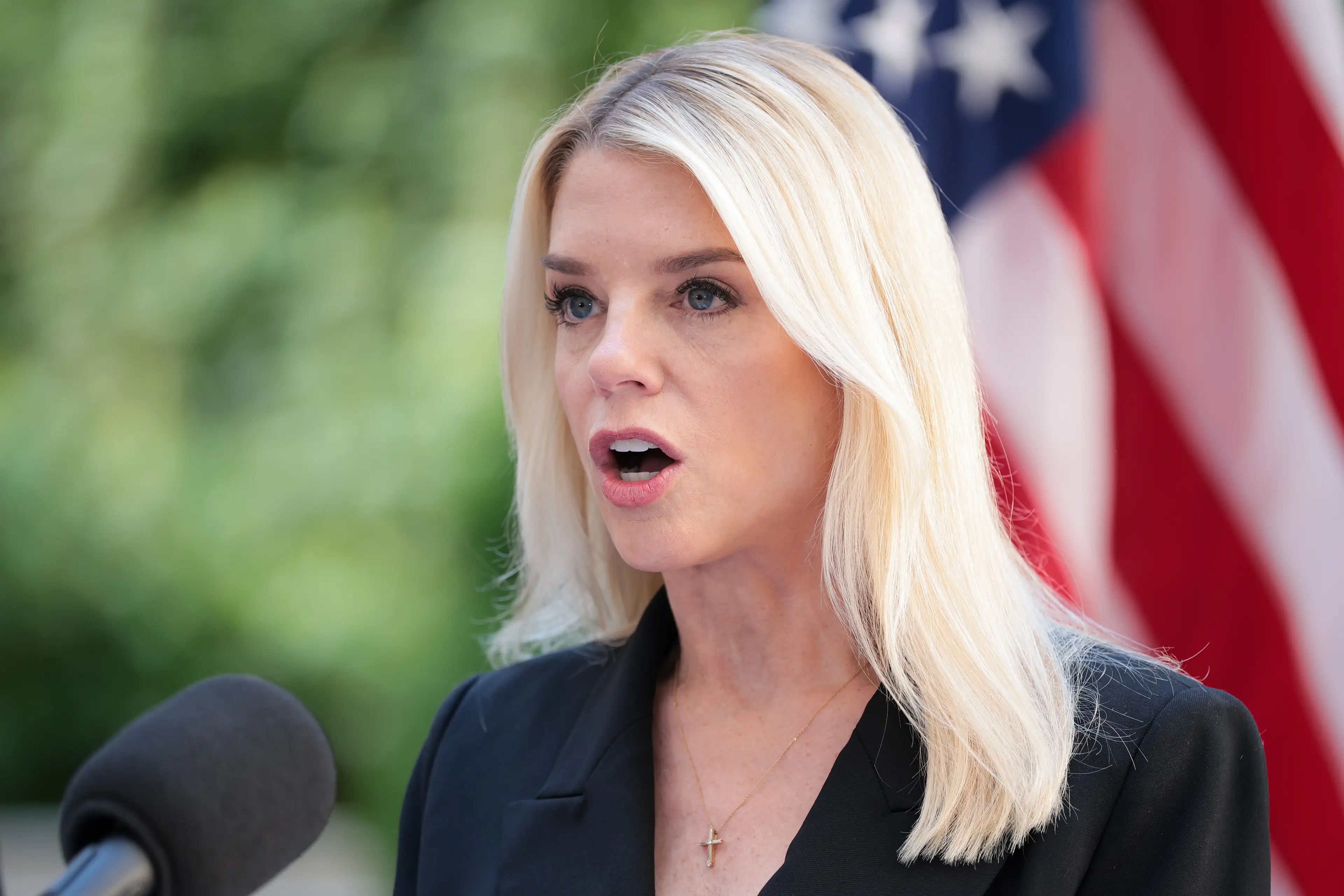 Pam Bondi discussed the deal (Kayla Bartkowski/Getty Images)