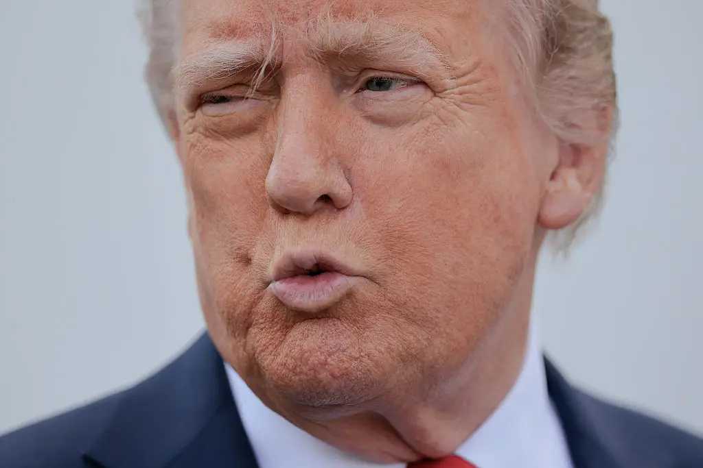 The White House has looked into ways to persude women and people who can conceive to have more children (Chip Somodevilla / Staff / Getty Images)